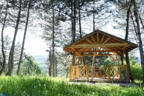 Çampınarı Doğa Evleri & Restaurant